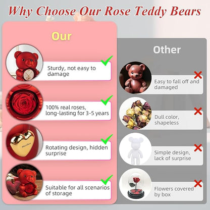 Red Bear Rose Jewelry Box with Heart Necklace
