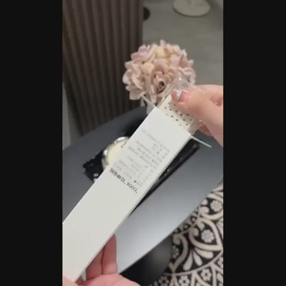 Self Cleaning Hair Brush